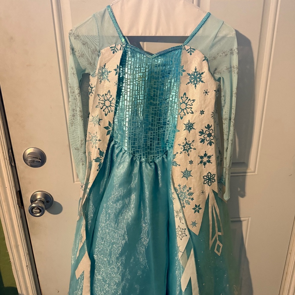 Disney Princess dress